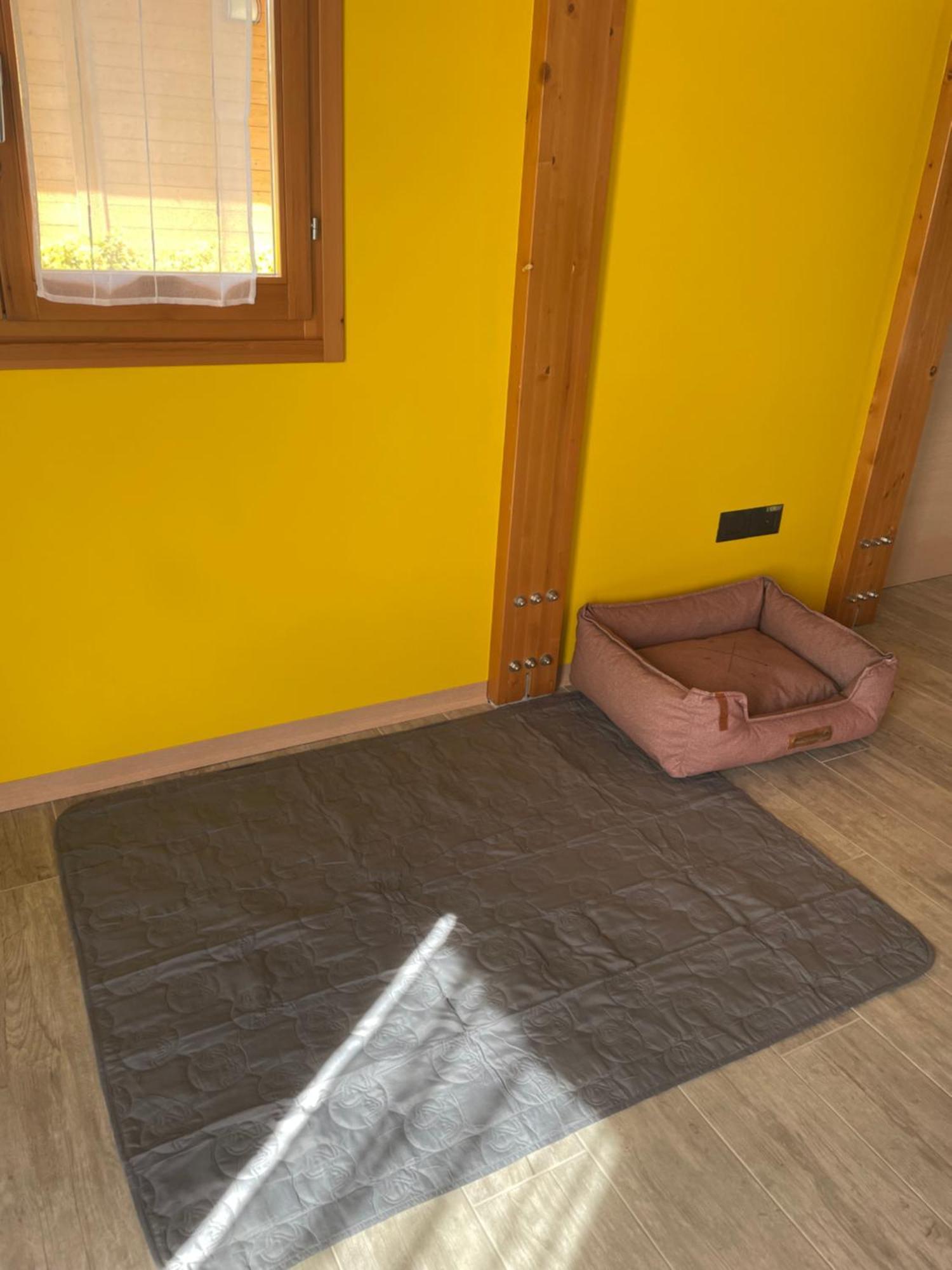Apartamento Colleolivi Serra deʼ Conti Exterior foto